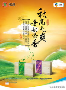 廣告設(shè)計 藝術(shù)與商業(yè)的完美融合